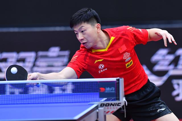 加萨尼加的 加萨尼加的