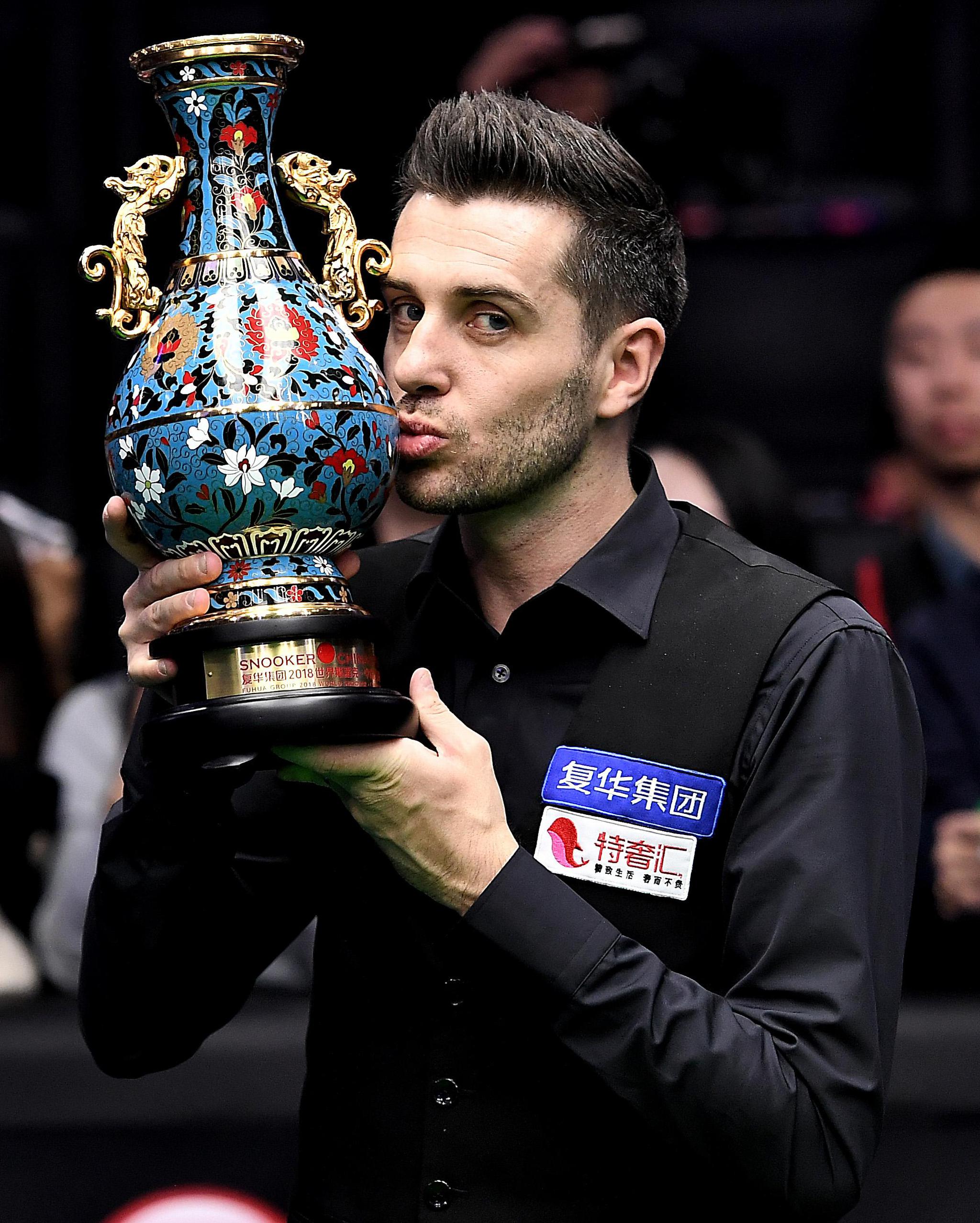 这种高度专 这种高度专