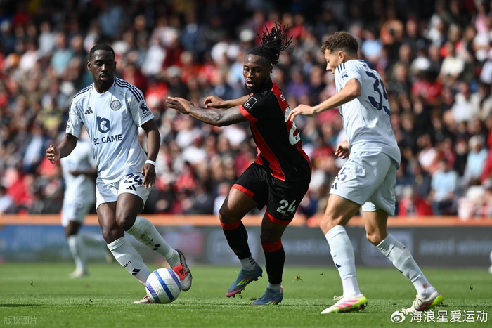 的消音器 的消音器