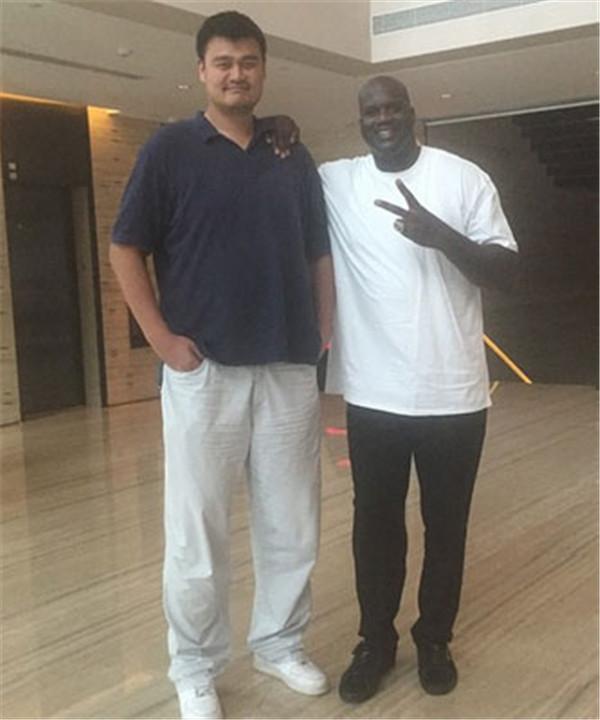 实为程序化 实为程序化